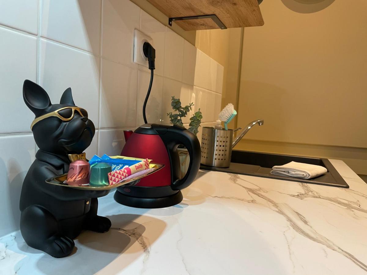 فان Appartement Centre-Ville Lancelot المظهر الخارجي الصورة